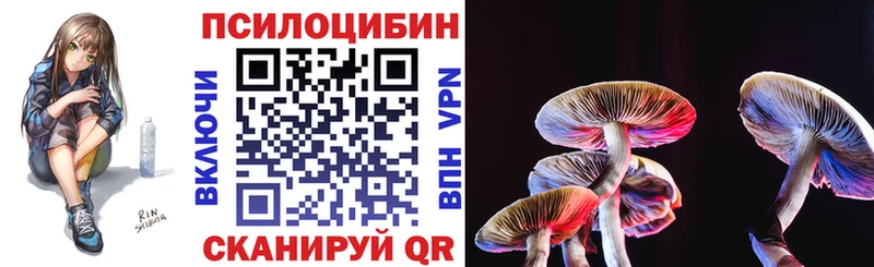 Галлюциногенные грибы Psilocybine cubensis  Купить закладки  Заринск 